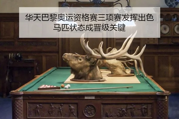 hua-tian-ba-li-ao-yun-zi-ge-sai-san-xiang-sai-fa-hui-chu-se-ma-pi-zhuang-tai-cheng-jin-ji-guan-jian-3-957.jpg
