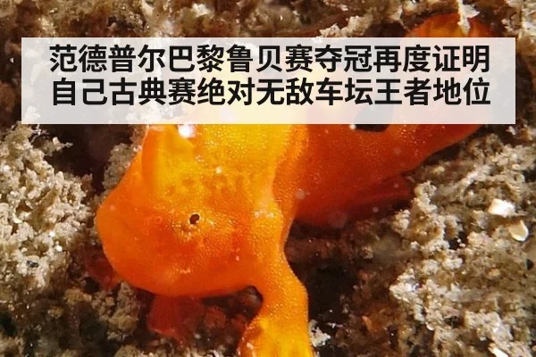 范德普尔巴黎鲁贝赛夺冠再度证明自己古典赛绝对无敌车坛王者地位